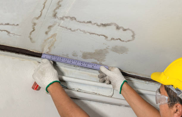 Reliable Basement Water Removal contractor in Bonduel, WI by Water Damage Irwin